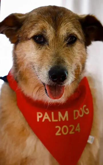 Фотография актёра Коди