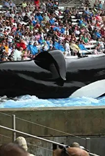 Фотография актёра Тиликум