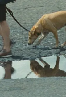 Фотография актёра Люси