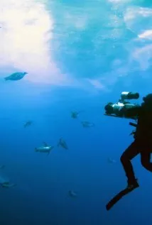 Фотография актёра Дидье Нуаре