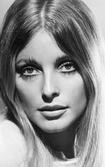 Фотография актёра Шэрон Тейт