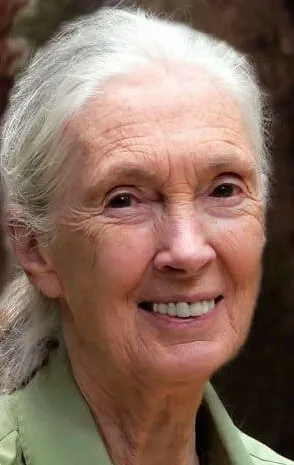 Фотография актёра Джейн Гудолл