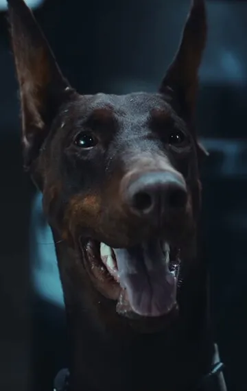 Фотография актёра Гуз