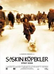 Бродячие собаки