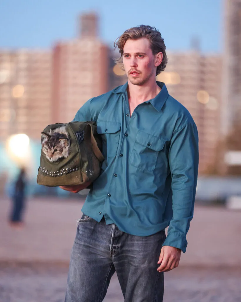 «Пойман с поличным» доступен для просмотра. Фильм проигрывает по сборам 50-летним «Челюстям», но при этом имеет большой потенциал